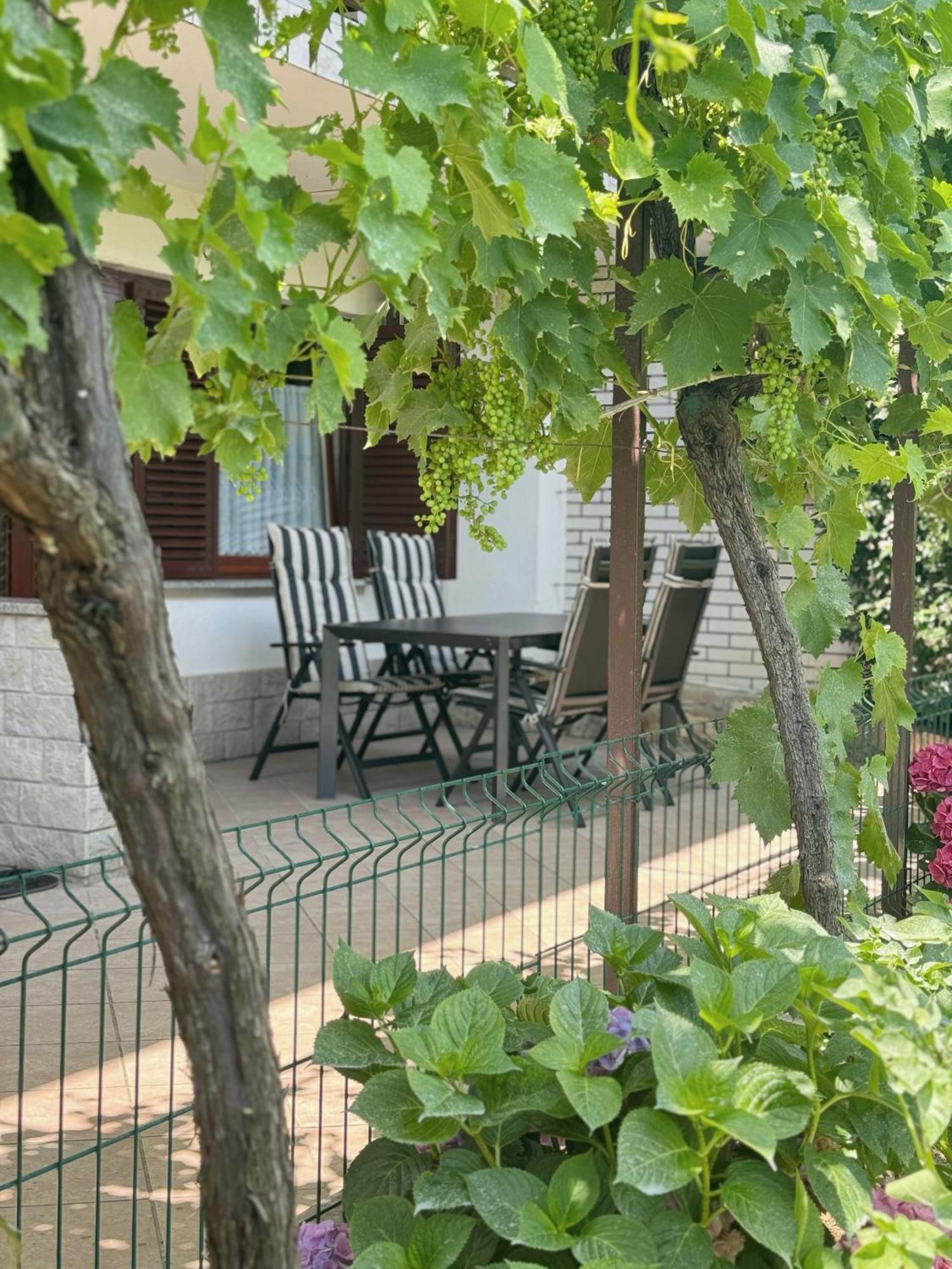 Apartment Gregoric إيزولا المظهر الخارجي الصورة